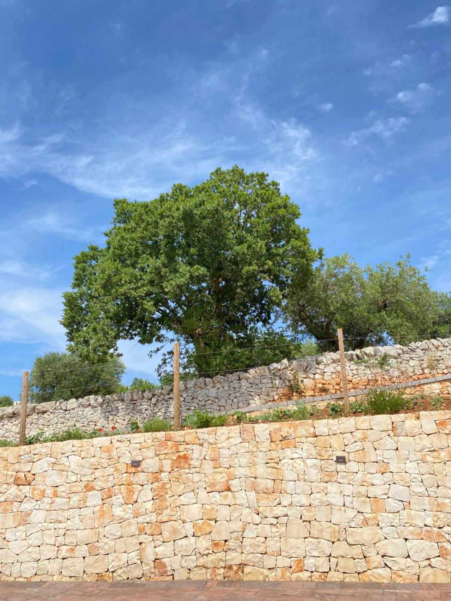 Trulli Mbs By Apulia Hospitality Apartment Locorotondo Exterior photo
