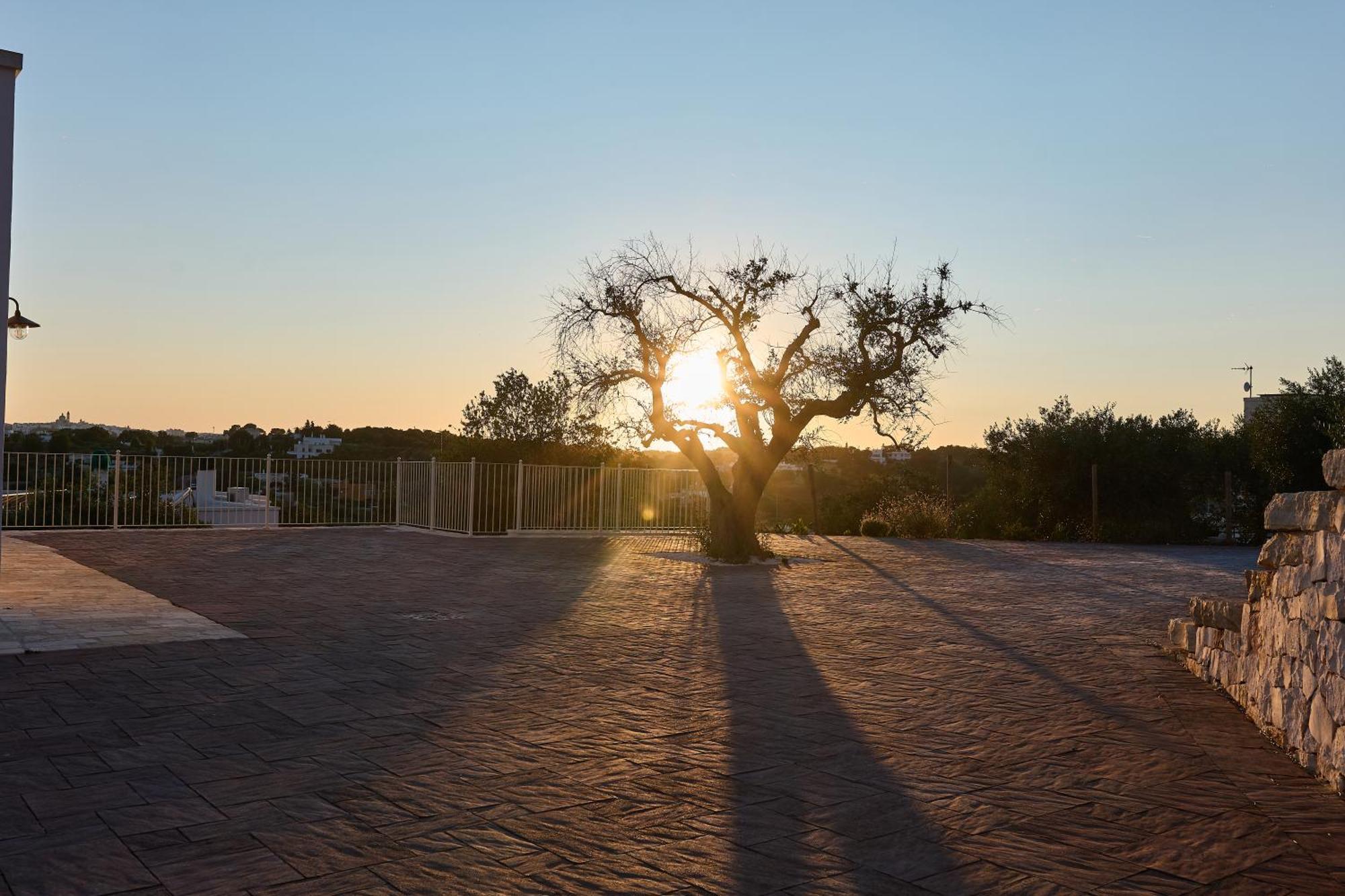 Trulli Mbs By Apulia Hospitality Apartment Locorotondo Exterior photo